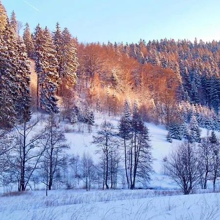 W Dolinie Modrzewi Appartement *