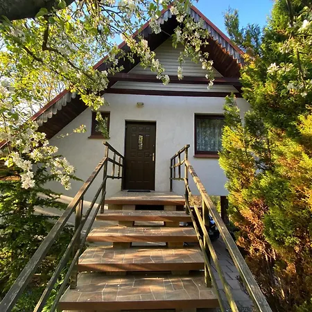 W Dolinie Modrzewi Kamienna Góra