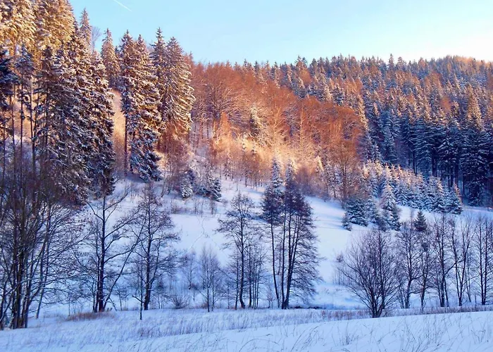 W Dolinie Modrzewi Apartman *