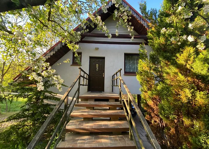 W Dolinie Modrzewi Kamienna Gora